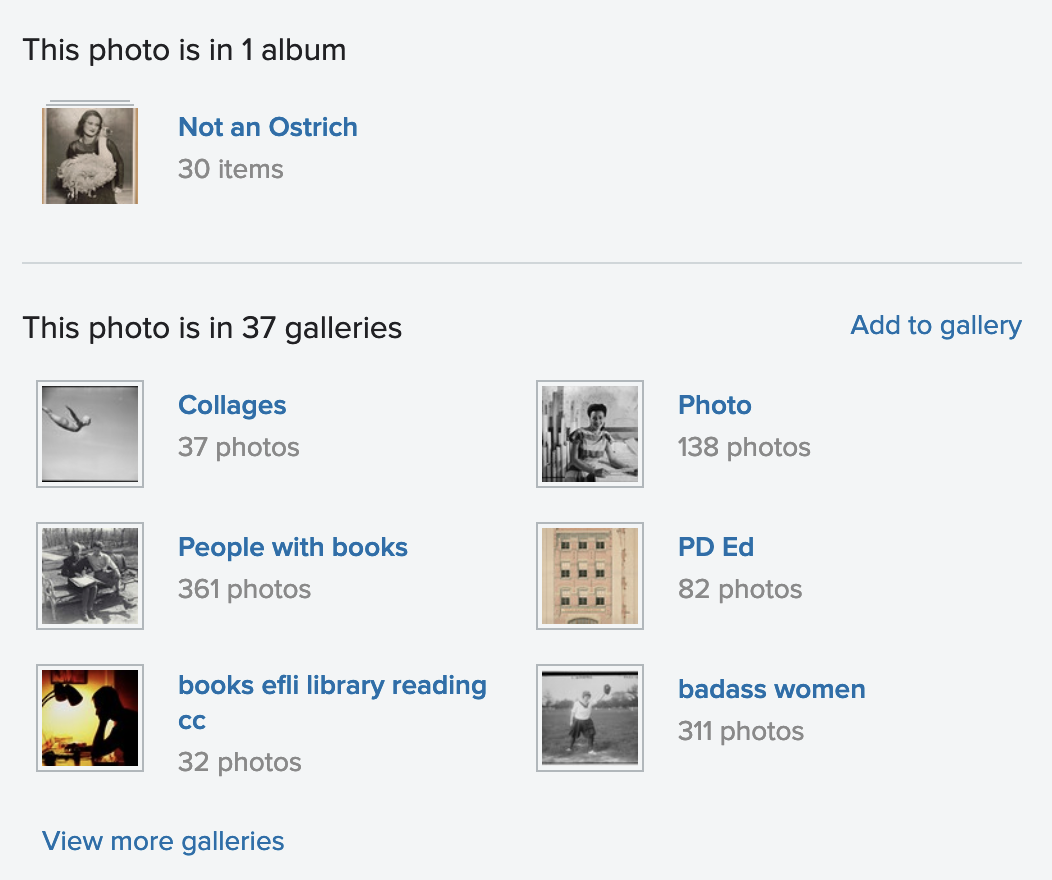 screenshot from flickr.com showing six of the 37 galleries this photo has been added to. It is also in one album called