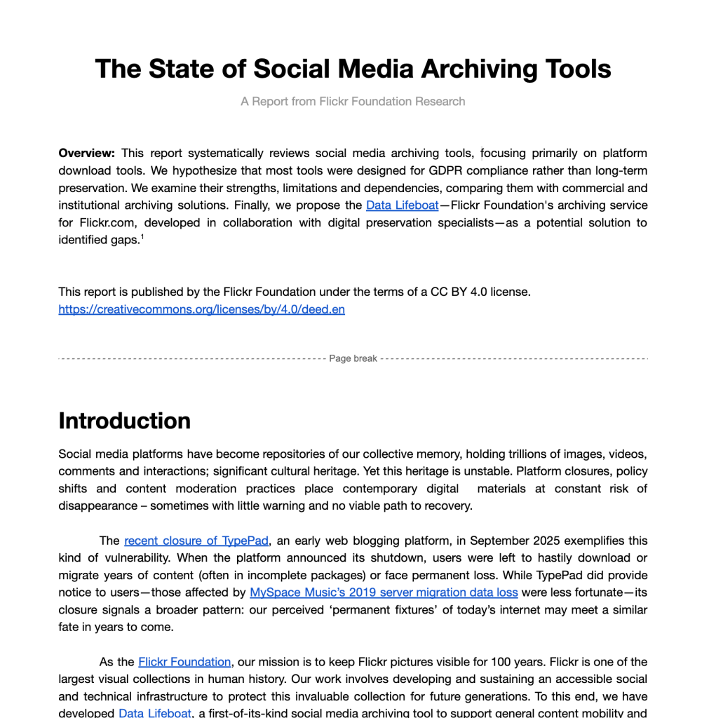 Screenshot of a Google doc (that is the report)
